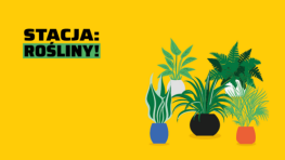 grafika dekoracyjna